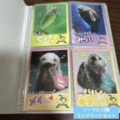 2026年最新】鳥羽水族館キラの人気アイテム - メルカリ