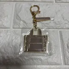 Item thumbnail for item 54066540-7553-4da8-8a26-132e9ea105ae