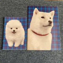 Item thumbnail for item d387ec2e-5124-4282-80ce-98da3a2143f0