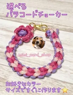 選べるお花パラコードチョーカー 大型犬も小型犬も大歓迎！