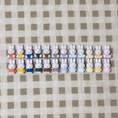 ミッフィー テトラフィビッツ 24点セット