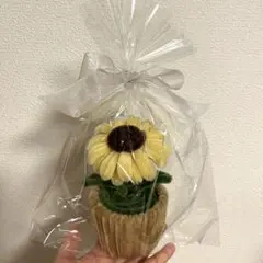 [母の日プレゼント]枯れないモールフラワー