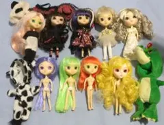 リトルプーリップ　まとめて