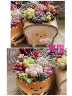 ailuan様 リクエスト 2点 まとめ商品