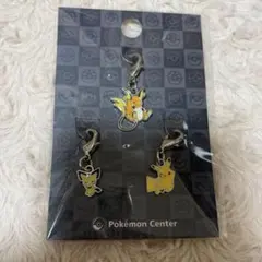 ポケモンセンター 全国ずかんメタルチャーム ピチュー ピカチュウ ライチュウ