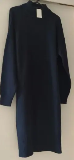 Item thumbnail for item 573d14b9-ce2c-462d-96d6-f3160073b1a8