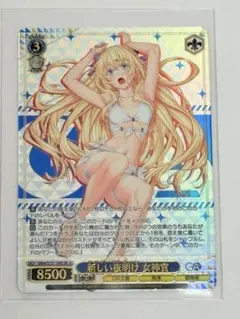 新しい夜明け 女神官 2枚 SR GA文庫 ゴブリンスレイヤー SR3 - メルカリ
