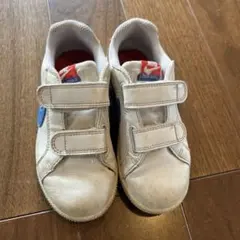 Nike キッズ スニーカー ベルクロ