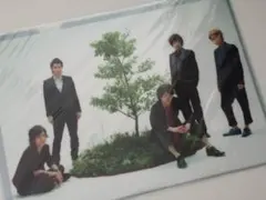 嵐 Beautiful World クリアファイル 集合