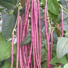 JING様 リクエスト 2点 まとめ商品