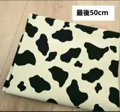 【最後】生地　動物　うし　ホルスタイン　ツイル　クリーム色　50cm