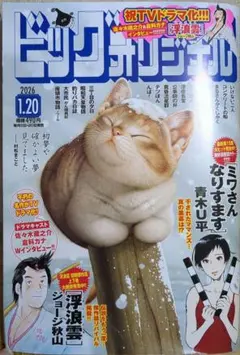 Item thumbnail for item 515b09c4-e9f2-4c65-8637-5dc06d7ed885