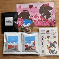 お値下げ！早い者勝ち！【チャン・グンソク】　PLENO キーチャーム　3点セット お値下げ！早い者勝ち！【チャン・グンソク】 PLENO キー