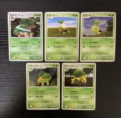 DP ナエトル ドダイトス 進化ライン 1ED キラ 草御三家 5枚セット