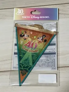 ディズニー 40周年 ドリームガーランド オレンジ×緑