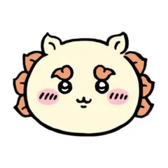 専用出品