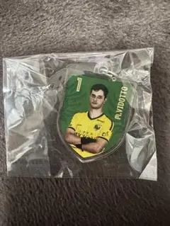 東京ヴェルディ VERDY めじるしチャーム マルチマーカー 1番 マテウス選手のサムネイル