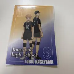 ハイキュープラザ　特典　ポストカード　日向翔陽　影山飛雄
