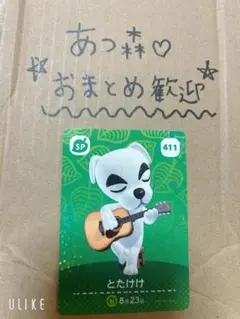あつ森amiibo⭐︎とたけけ