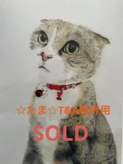 ☆たま☆T&A 様専用　2026年 新春 干支 ブレス❣️馬牙三眼天珠多宝 ブレス