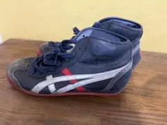 Item thumbnail for item 8035afd5-2479-4be2-b328-df1f77c6f3cf