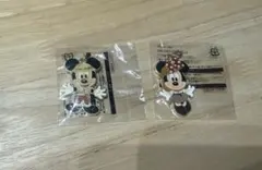 ディズニーリゾート　ジャングルカーニバル　チャーム