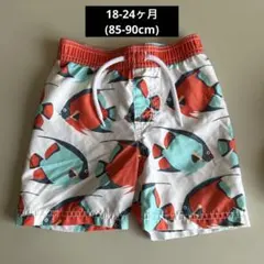 水着【old navy】魚柄　スイムウェア　夏　海　川