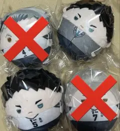 ふわコロりん　赤葦京治　ハイキュー　アニメイト特典