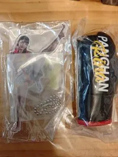 Item thumbnail for item df0c2eb1-134d-4967-859b-afeae16af0b4