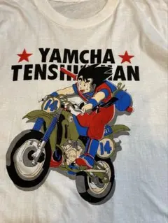 世界300体限定】悟空＆チチ結婚 T-Hex 極美品 ドラゴンボール - メルカリ