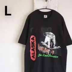 90s USA製　フルーツオブザルーム　アラスカ L　Tシャツ　ブラックのサムネイル