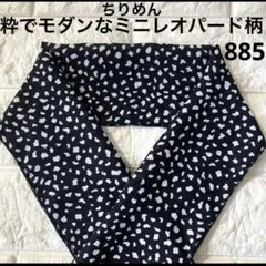 Item thumbnail for item 9deb59d8-decd-44fc-b533-44e8c5f48f75