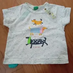ベビー　70サイズ　Tシャツ　犬
