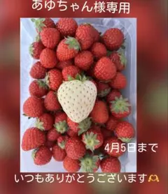 リピ様♡あゆちゃん様専用♡レジンヘアゴムブローチ