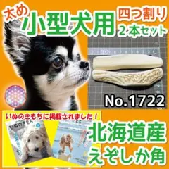 小型犬用 エゾ鹿の角 太め 4半割り２本 北海道産 犬のおもちゃ 17223のサムネイル
