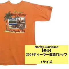 【希少】00s ハーレーダビッドソン Tシャツ HOLOUBEK製 USA製 L