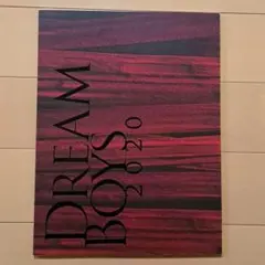 DREAM BOYS ドリボ 2020 パンフレット