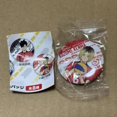 ハイキュー　孤爪研磨　缶バッジ　くら寿司
