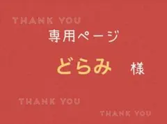 どらみ様専用ページです。