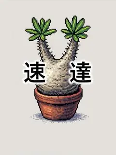 ★速達料金★