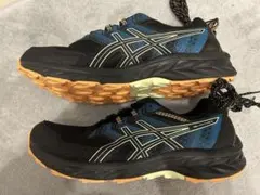 のぶりん様専用:asics GEL VENTURE 9, 28cm
