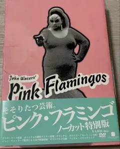 【希少】ピンク・フラミンゴ ノーカット特別版BOX ポスター ポストカード付き Pink Flamingos DVD 特別版 ピンクフラミンゴ ノーカット特別版 - メルカリ