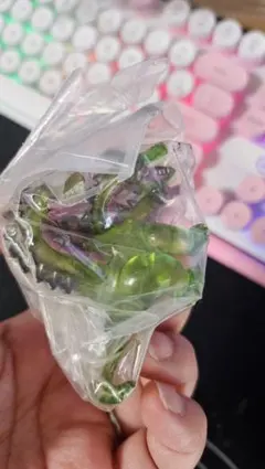 ドラゴンクエスト クリスタルモンスターズ L やまたのおろち