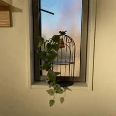 ゆき＊即購入OK＊様 リクエスト 3点 まとめ商品