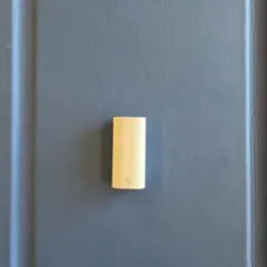 純正: Apple Pencil Lightning アダプタ