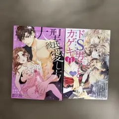 大型彼氏の愛し方 & ドS男子とカゲキな 2冊セット