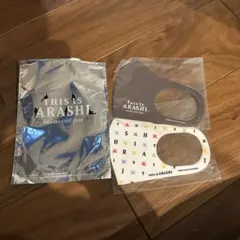 嵐　THIS IS ARASHI ARASHI LIVE 2020 マスク2枚
