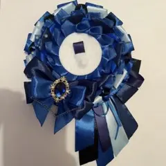 天宮　凪咲＊プロフ必読様専用