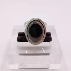 Item thumbnail for item f00caaaa-ca9a-427a-ad11-3241881bd1e6