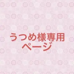 うつめ様専用ページ